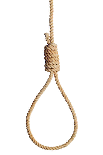 Rope Noose Old West Hang Mans Noose Isolated on White Background. hangmans noose stock pictures, royalty-free photos & images