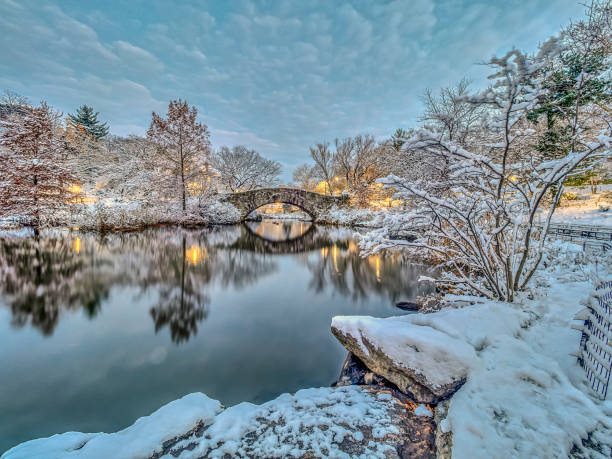 istock Gapstow bridge Central Park, New York City 895125040