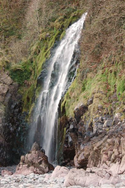 A coastal waterfall cascading on to a pebble beach. Photographed; Clovelly, Devon, UK. December 2017.