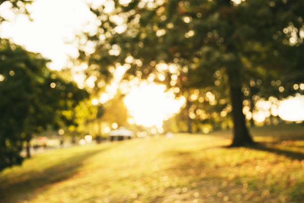 Autumn landscape in a city park, autumn in Moldova. Selective focus.