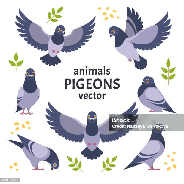 Collection De Pigeons Vecteurs libres de droits et plus d'images vectorielles de Pigeon - Oiseau - Pigeon - Oiseau, Colombe - Oiseau, Oiseau