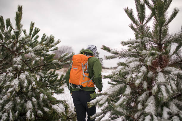 istock Photographer hiker in nature 895145534