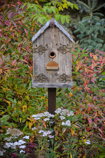 A rustic birdhouse in the garden, amid the beautiful autumn colors.