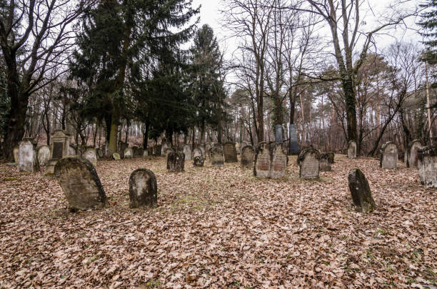 istock many gravestones on cemetery in the forest 895150556