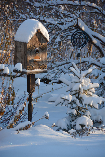 Rustic birdhouse covered in snow in the winter garden.