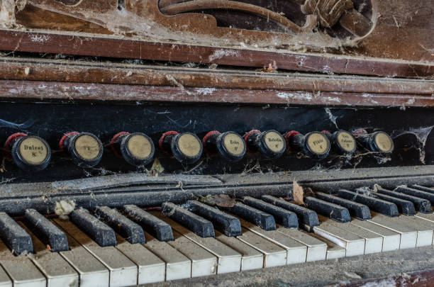 istock old organ detail 895155630