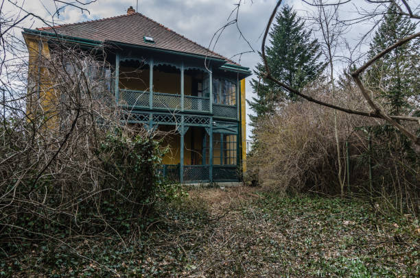 istock old wooden mansion at forest 895156026