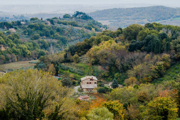istock Lanscape of Tuscany panoramic day view, Italy 895158980