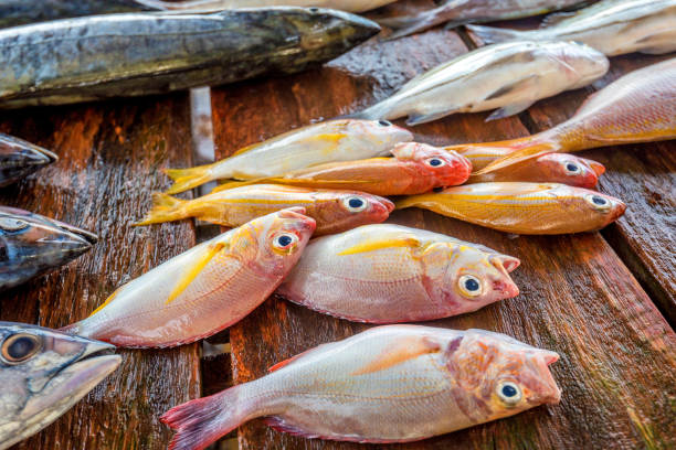 istock Fresh raw fish at market 895162526
