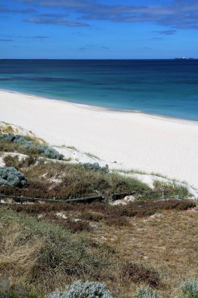 istock Cottesloe Beach at Indian Ocean, Perth Western Australia 895169516