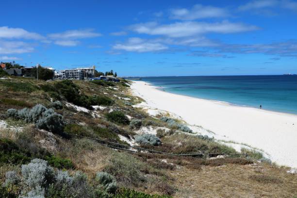 istock Long wide sandy beach Cottesloe Beach at Indian Ocean, Perth Western Australia 895174156