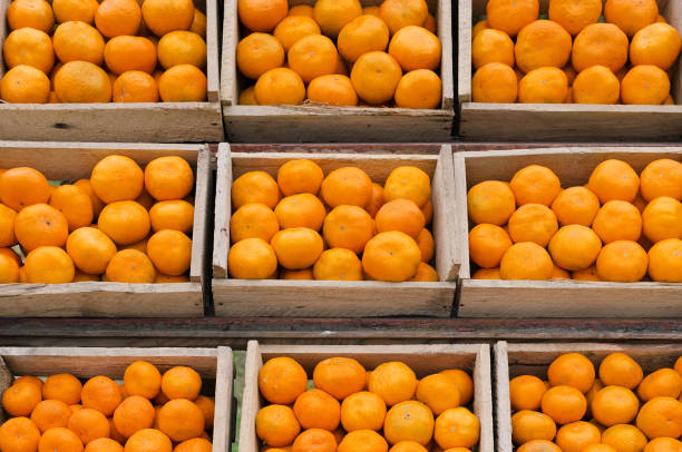 Ripe mandarins in wooden boxes stand in a row. Fruit orange background.