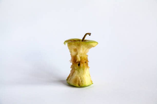 Apple core Apple - Fruit, Apple Core, Food, Food and Drink, Fruit rotting apple fruit wrinkled stock pictures, royalty-free photos & images