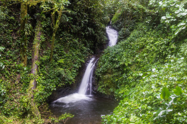 몬테 베르데의 nebular 숲에 폭포 - costa rica waterfall heaven rainforest 뉴스 사진 이미지