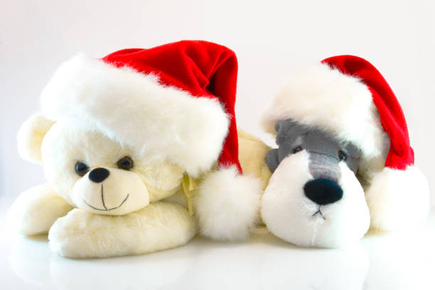 istock plush toys bear and dog isolated on white background. This has clipping path. 895229758