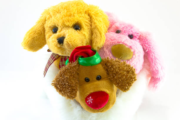 istock plush toy dogs isolated on white background. This has clipping path. 895229762