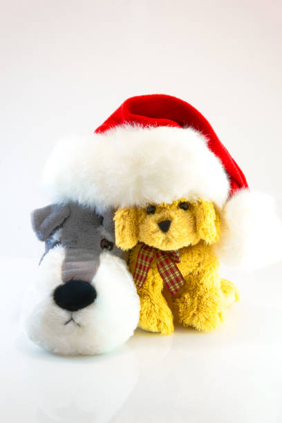 istock plush toy dogs isolated on white background. This has clipping path. 895229770