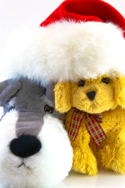 istock plush toy dogs isolated on white background. This has clipping path. 895229772