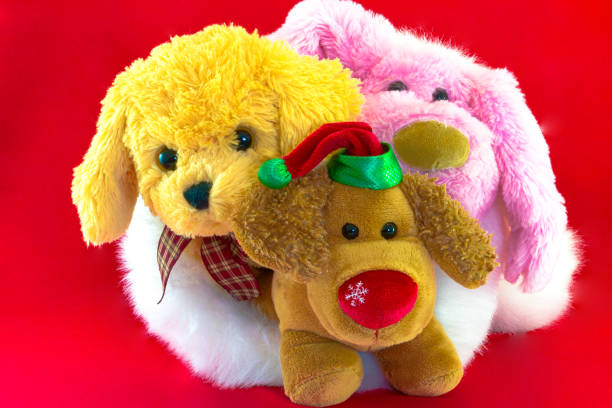 istock plush toy dogs isolated on red background. This has clipping path. 895229778