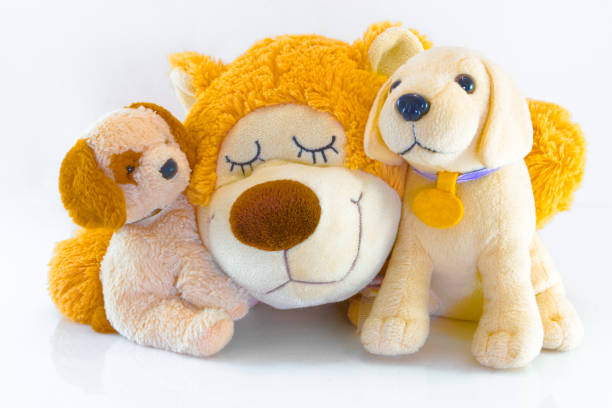 istock plush toy dogs isolated on white background. This has clipping path. 895229780