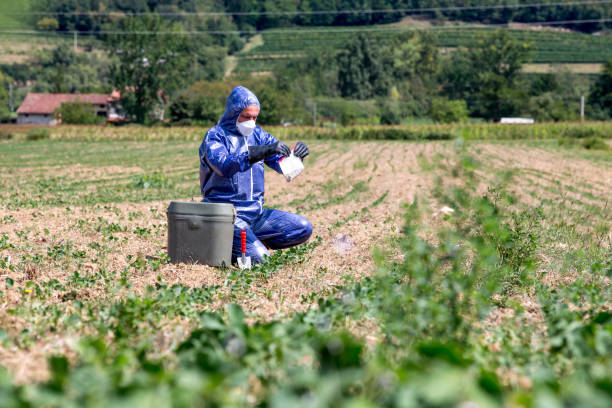 scienziato che ricerca e prende un campione di sporco su un campo - dirt scientific experiment soil sample environment foto e immagini stock