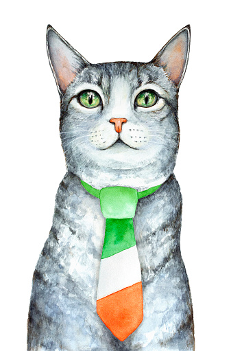 Gray Cat Character Dressed In Formal Traditional Man Tie Colored In Colors  Of National Irish Flag Stock Illustration - Download Image Now - iStock