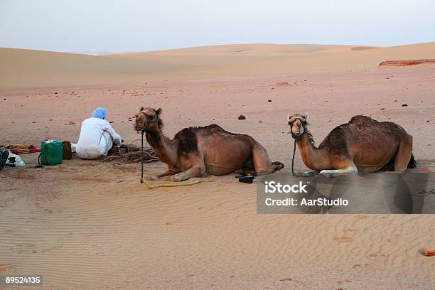 Desert Life Stock Photo - Download Image Now - Bedouin, Camel, Clear Sky