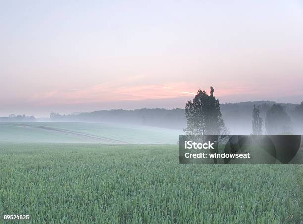 Misty Morning In Spring Stock Photo - Download Image Now - Abstract, Agricultural Field, Agriculture