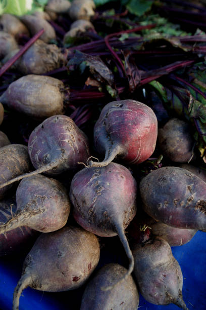 istock Organic Farmer's Market Fresh red beet 895253482