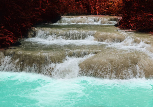 waterfall in rainforest. cascade in forest. water flowing in tropical jungle in spring