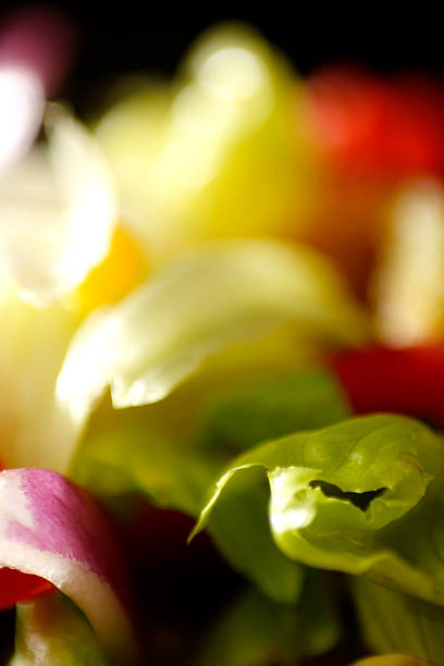 mixed salad stock photo