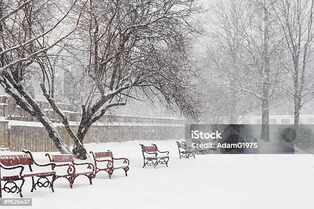 Scena Invernale - Fotografie stock e altre immagini di Albero - Albero, Ambientazione esterna, Bellezza naturale