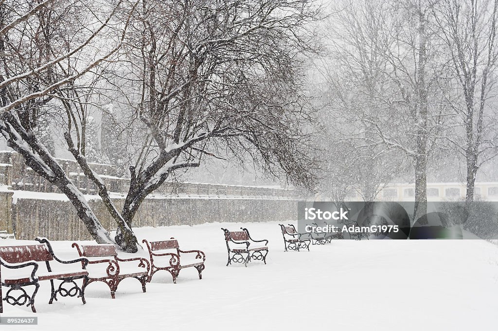 Winter scene - Foto de stock de Ajardinado royalty-free