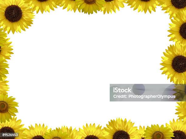 Sonnenblume Frame Xxl Stockfoto und mehr Bilder von Balkengerüst - Balkengerüst, Baumblüte, Bilderrahmen