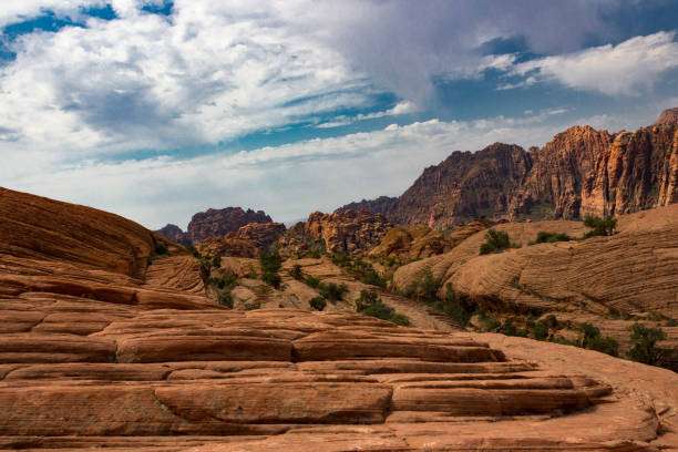 The red mountains and petrified sand dunes of Snow Canyon State Park The red mountains and petrified sand dunes of Snow Canyon State Park in Southern Utah. snow canyon state park stock pictures, royalty-free photos & images