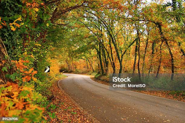 Strada Tortuosa - Fotografie stock e altre immagini di Albero - Albero, Alpi, Ambientazione esterna