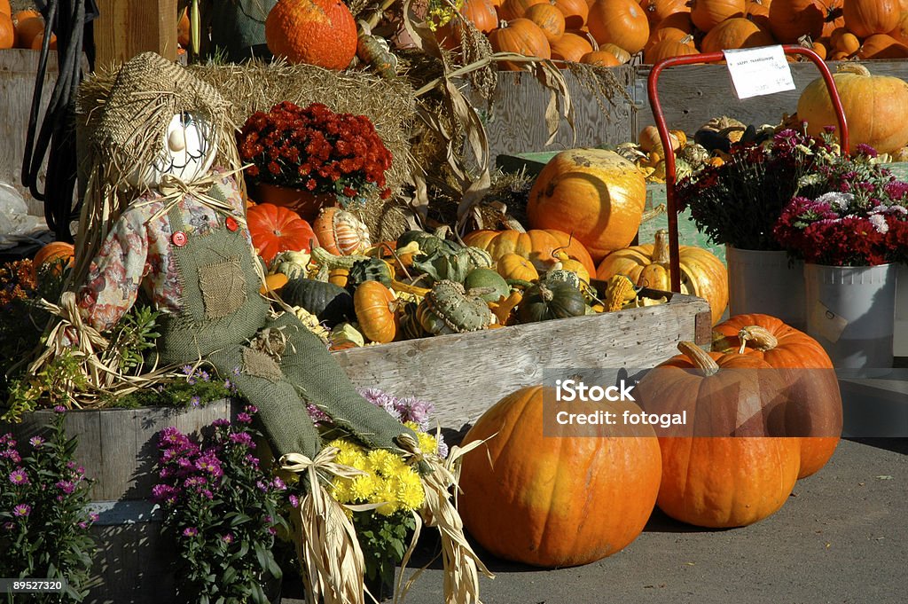 Herbst-Markt - Lizenzfrei Blume Stock-Foto