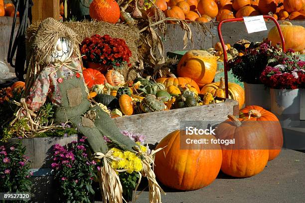 Autunno Di Mercato - Fotografie stock e altre immagini di Agricoltura - Agricoltura, Arancione, Autunno