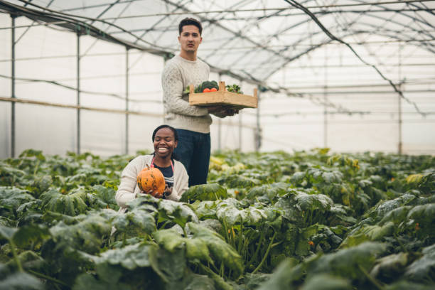 istock Autumn pumpkin harvest 895273300