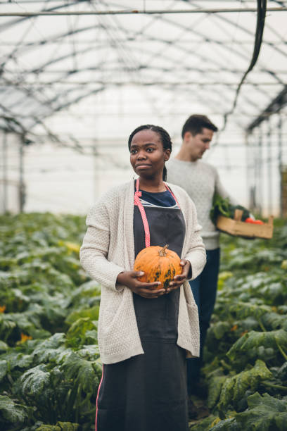 istock Autumn pumpkin harvest 895273310