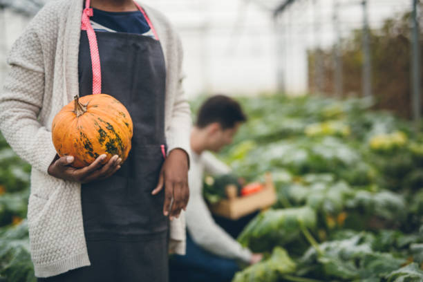 istock Autumn pumpkin harvest 895273656