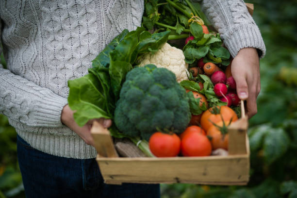 istock Young farmer with crate full of vegetables 895273748