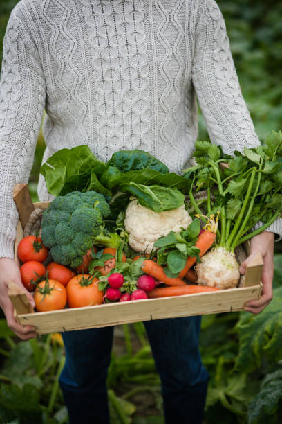 istock Young farmer with crate full of vegetables 895273776
