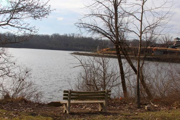 istock Wood Bench at the Lake 895275918