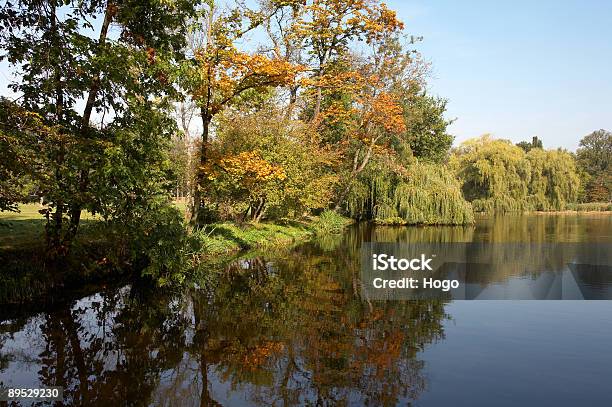 Color Trees Stock Photo - Download Image Now - Autumn, Blue, Bright
