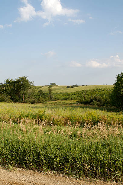 Iowa Landscape stock photo