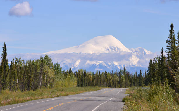 istock Mt Sanford volcano, Alaska 895300756
