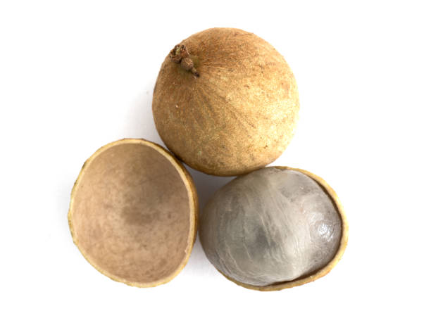istock Two Dimocarpus Longan fruit with sheel half peel showing translucent flesh isolated on white background 895319666