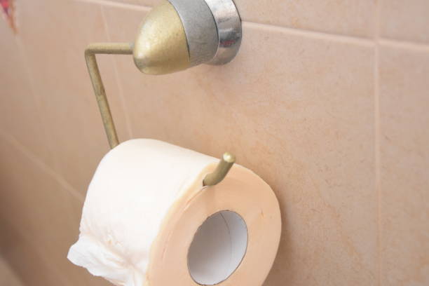 istock Toilet paper hung oddly 895351962