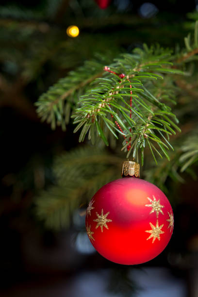istock red christmas ball handing on christmas tree 895369592